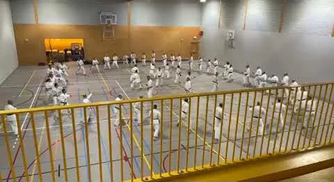 Warming-up voorafgaand aan een Dan-training (zwarte band)