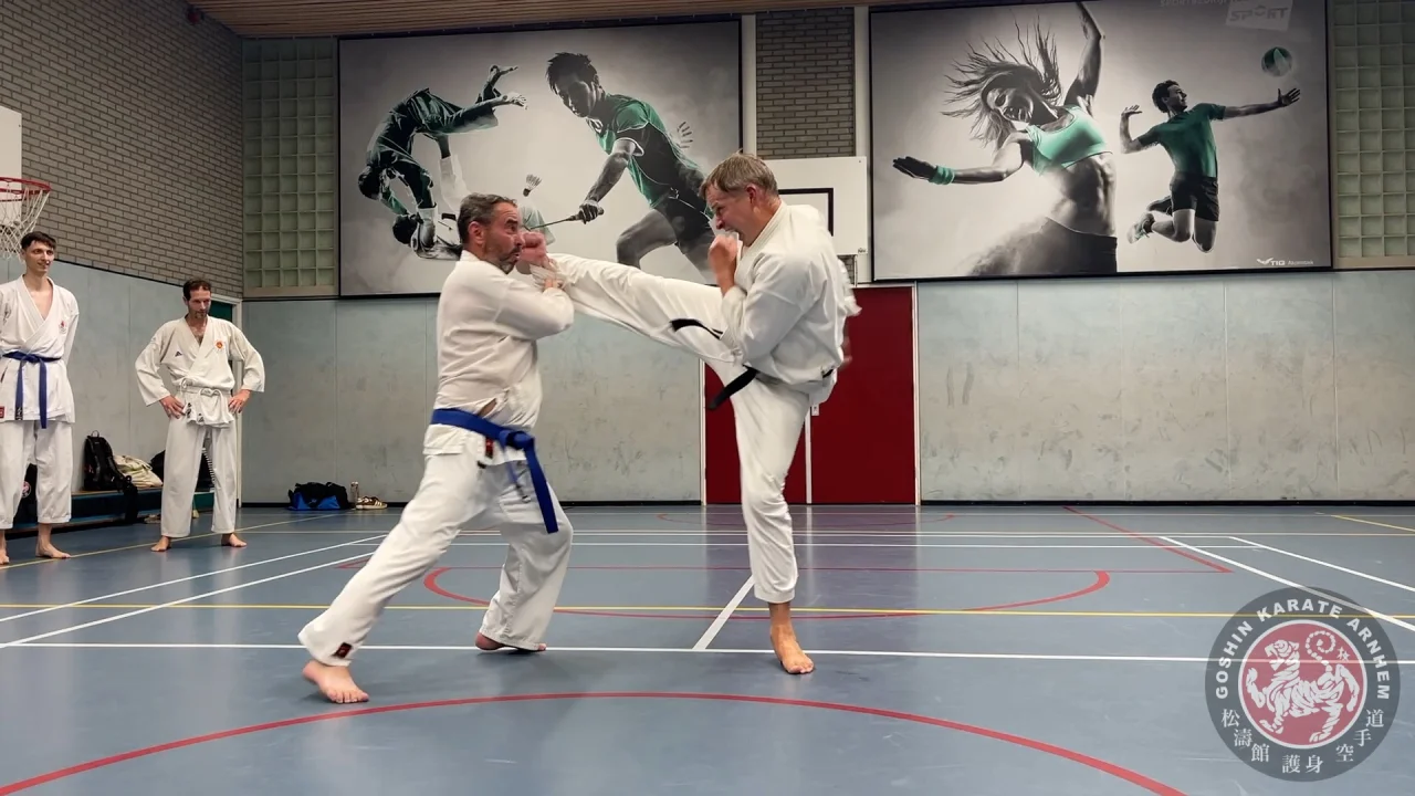 Video van een karatetraining bij Goshin